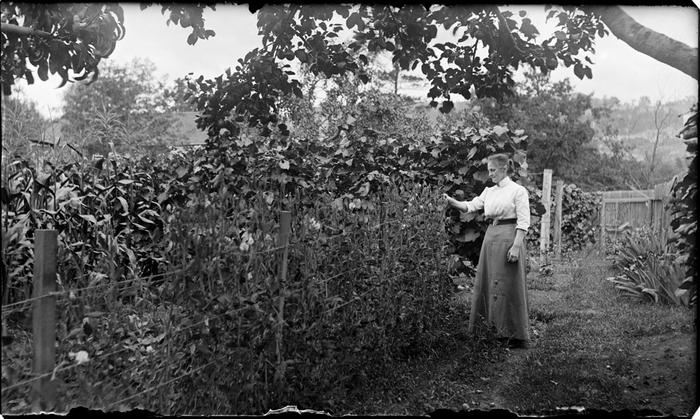 Unidentified woman in a garden