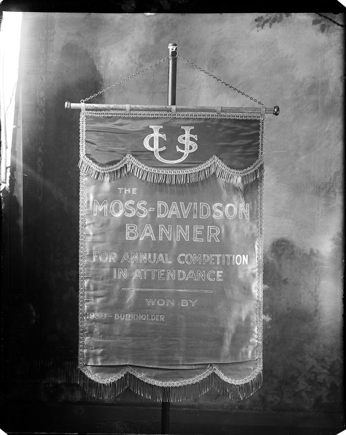 The Moss Davidson banner